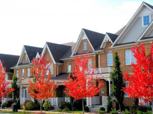 houses